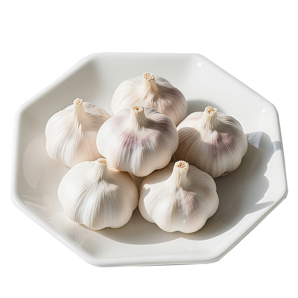 Fresh Garlic — reference product photograph